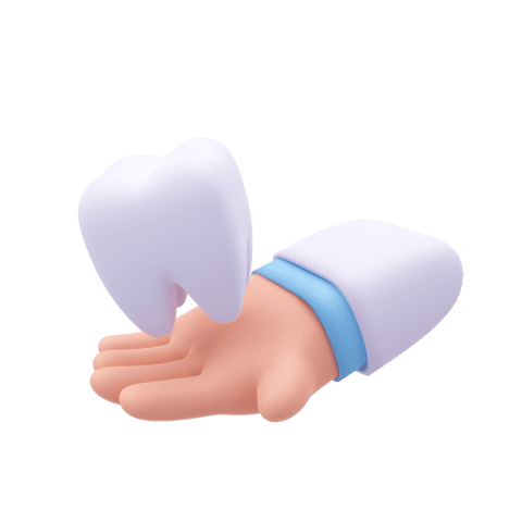 핸즈